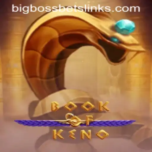 The World of BookOfKeno: A Dive into BigBossBets